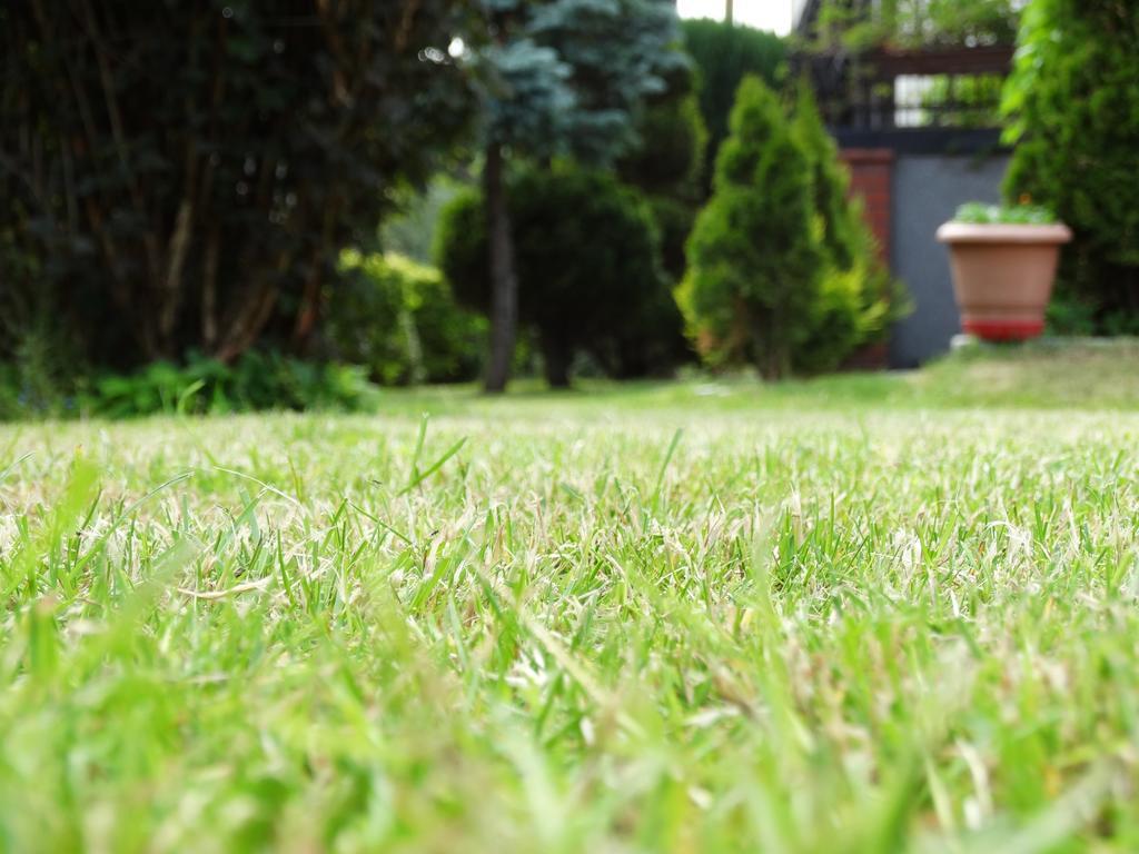 Apartmán Dom U Artura Władysławowo Exteriér fotografie