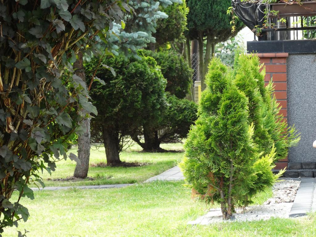 Apartmán Dom U Artura Władysławowo Exteriér fotografie